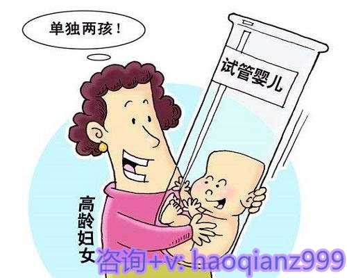 北京正规借卵助孕公司，北京能借卵子吗