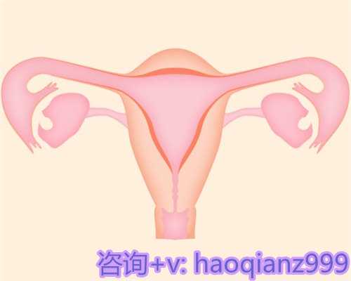 北京哪里可以代生宝宝，50岁北京借卵代生