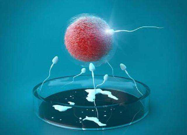 怀孕怎么预防胎儿胎记
