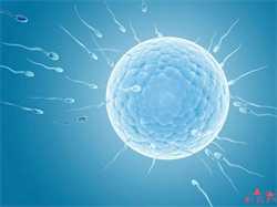 输卵管结核可以怀孕吗怎么治疗好