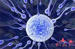囊胚4cc是什么级别？医生：移植成功率较低但有怀孕案例