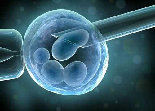 广州有哪些能够提供卵细胞试管技术协助怀孕公